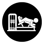 hamstrings